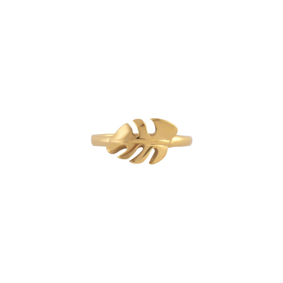 Anel Monstera 18k