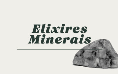 Elixir Mineral: Conheça o Mamacoca SPA